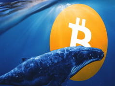 Bitcoin Shows Signs of Recovery – Is the Whale Sell-Off Over?